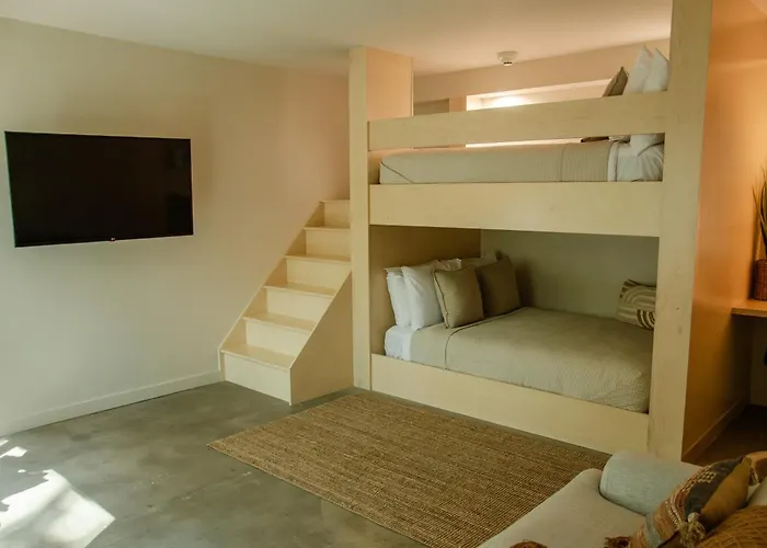 Brut Hotel