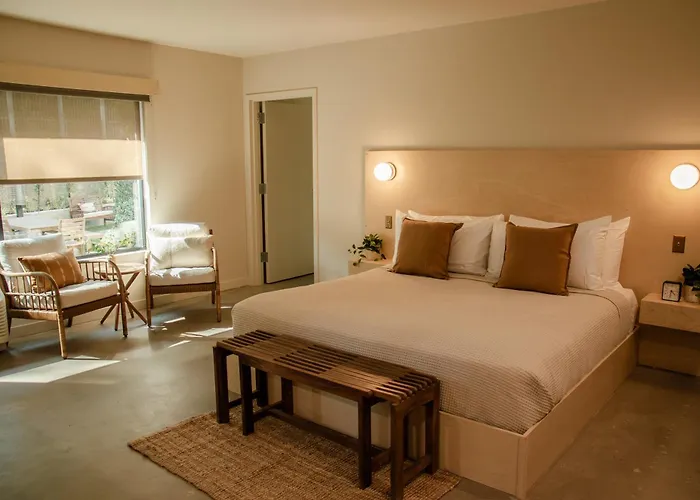 Brut Hotel