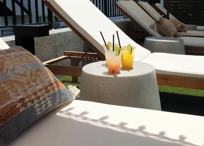 Brut Hotel