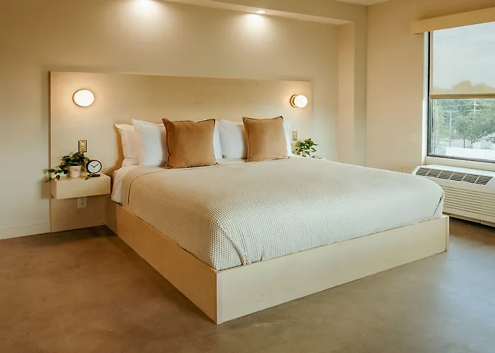 Brut Hotel